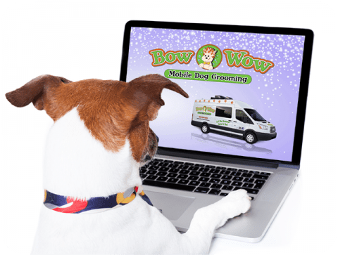 download bow wow dog spa